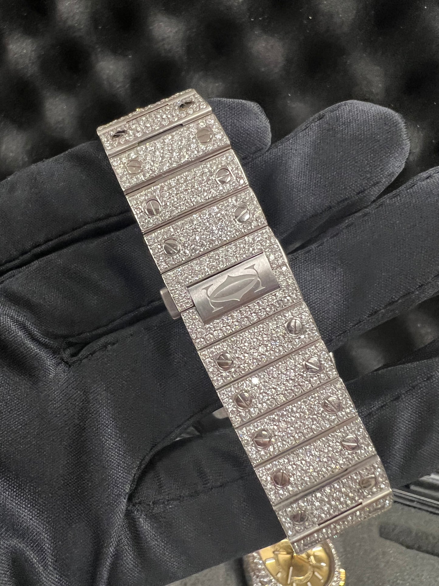 Santos WSSA0018